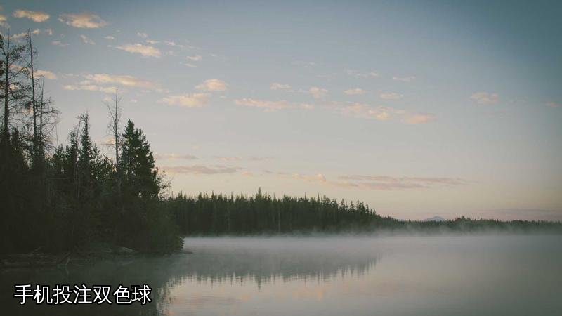 手机投注双色球