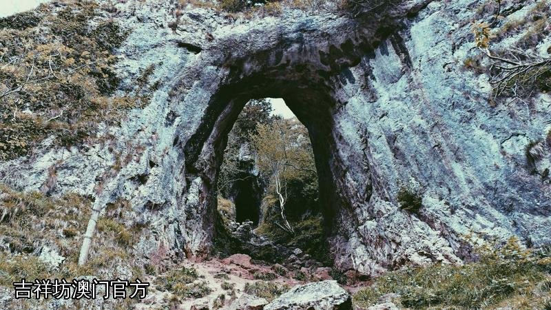 吉祥坊澳门官方