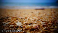 如何识别官方金沙娱乐赌场网站是骗局？