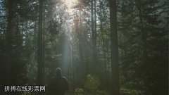拼搏在线彩票网究竟如何让人一步步陷入骗局？

问：我朋友最