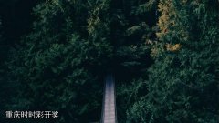 重庆时时彩开奖能预测吗？小心！这是诈骗陷阱。