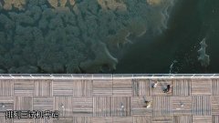排列三试机号码_排列三试机号能预测中奖小心这是诈骗陷阱