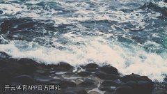 开云体育APP官方网站是诈骗网站？真相令人警惕