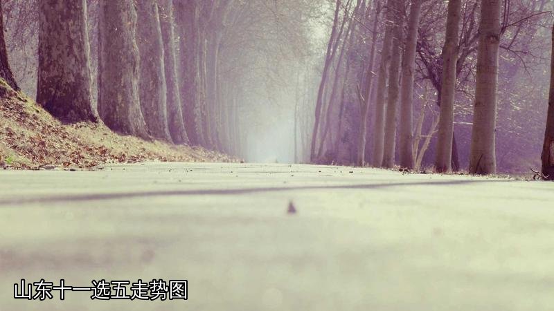 山东十一选五走势图