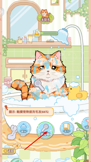 糖果猫