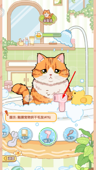 糖果猫