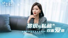 这个CEO我当定了
