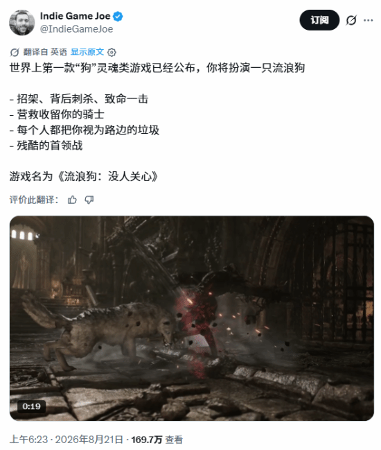 国产独立游戏只狗：路边一条以流浪犬视角引爆全球关注