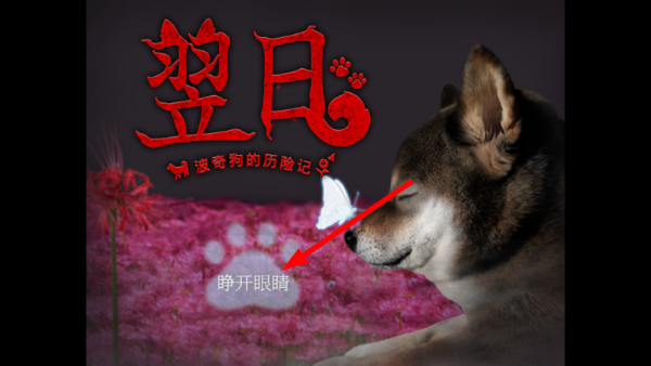 翌日波奇狗的历险记
