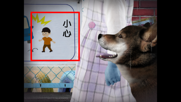 翌日波奇狗的历险记手机版