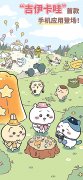 口袋吉伊卡哇国际服